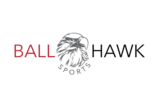 The BallHawk Report Logo